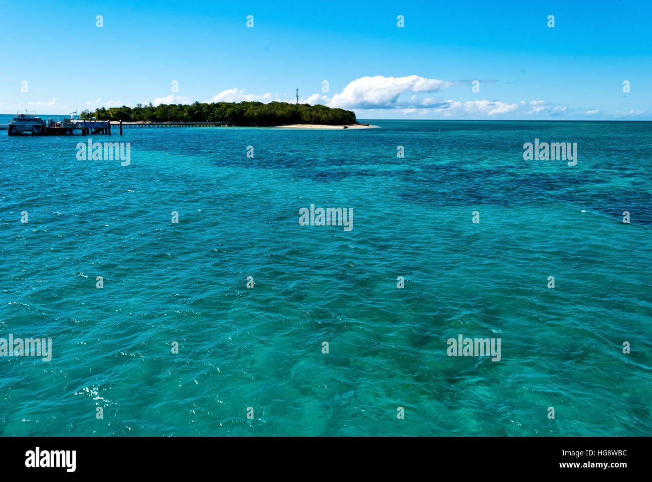 Paradise Island, l'île Green, Queensland, Australie ; Banque D'Images