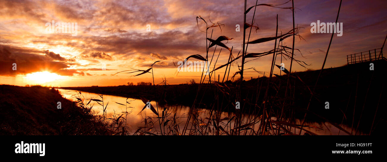 Coucher du soleil d'hiver sur une vidange Fenland, Cambridgeshire, Angleterre, Grande-Bretagne, Royaume-Uni Banque D'Images