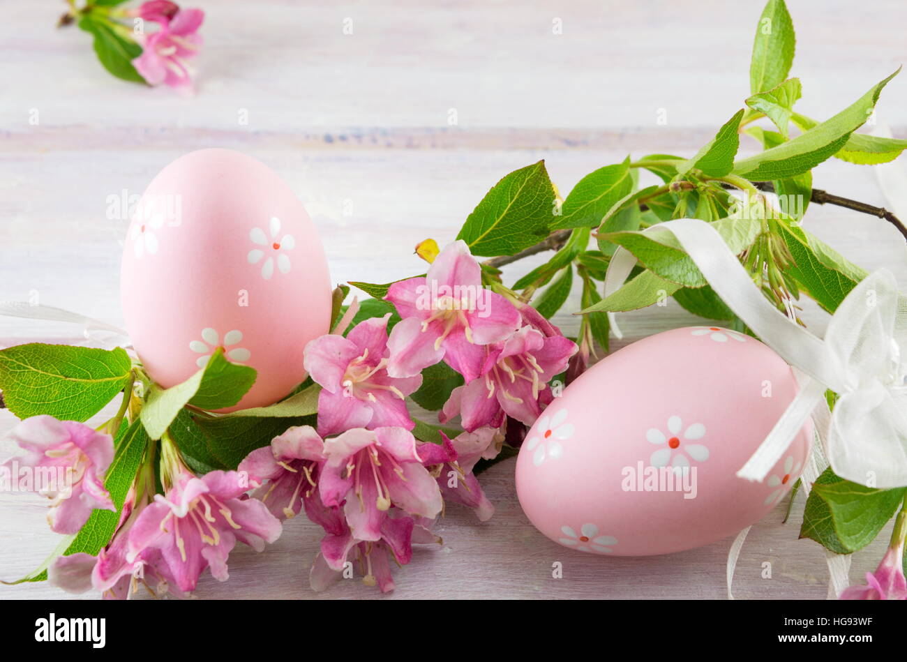 Les oeufs de Pâques peints et Japonais fleurs violettes Banque D'Images