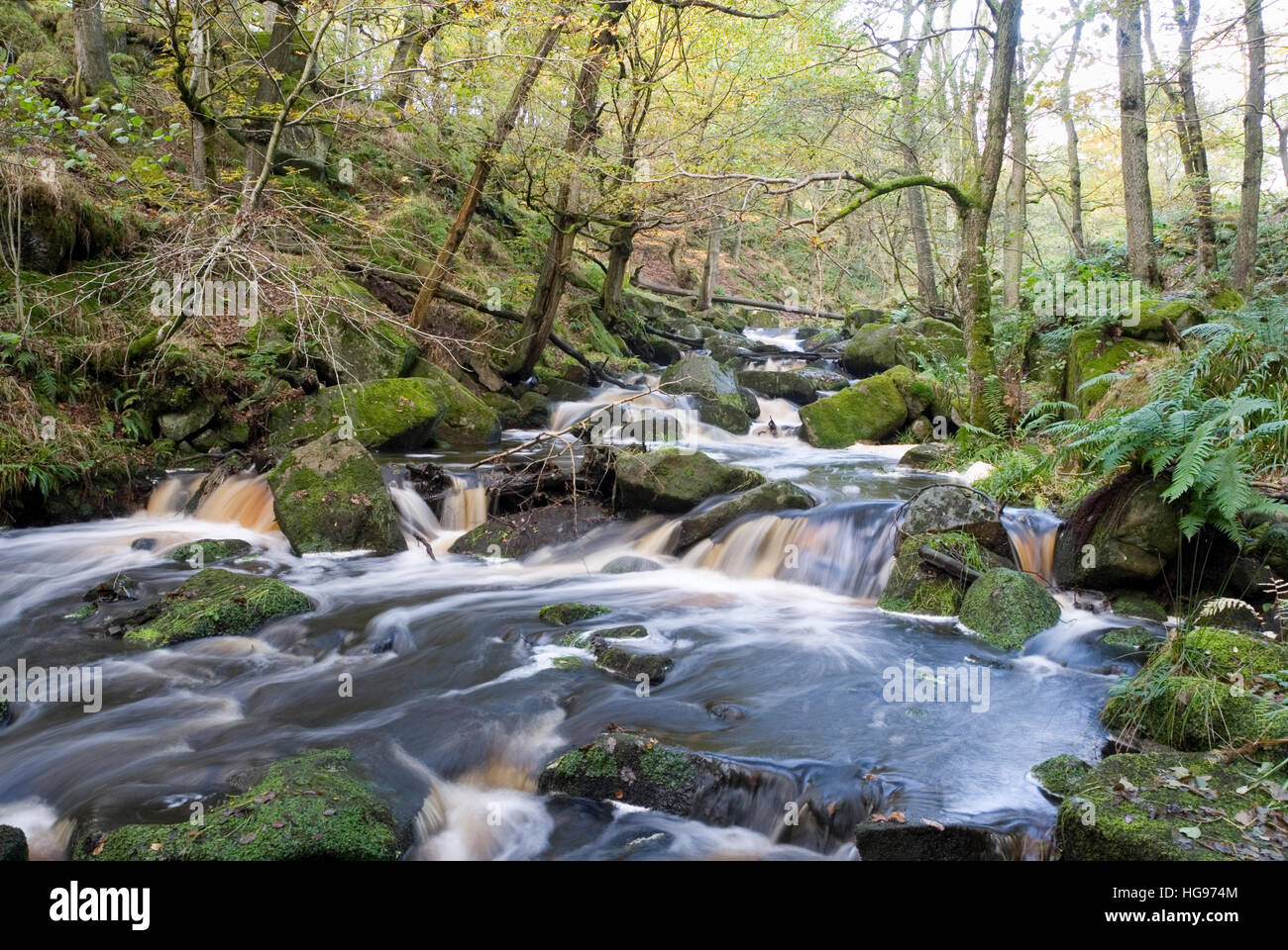 Burbage Brook coule dans la vallée boisée de la rivière rocheuse de Padley Gorge, Longshaw Estate, Peak District, Derbyshire, Royaume-Uni Banque D'Images