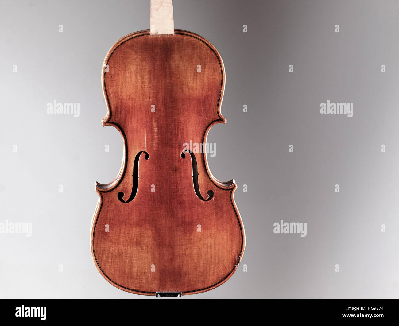 Instrument de musique, un violon sur fond blanc - fond gris. Banque D'Images