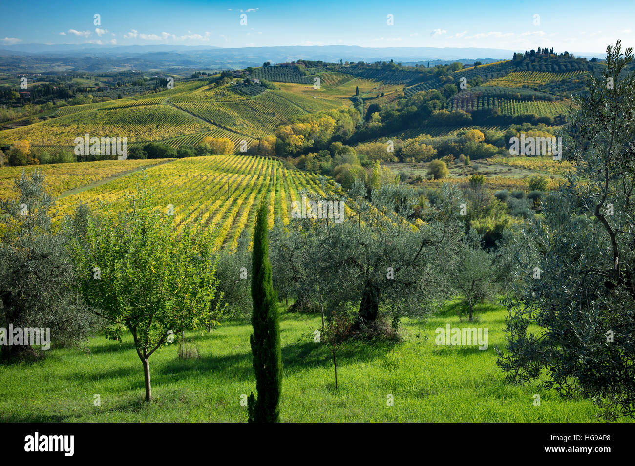 Compte tenu de l'automne campagne toscane près de San Gimignano, Toscane, Italie Banque D'Images