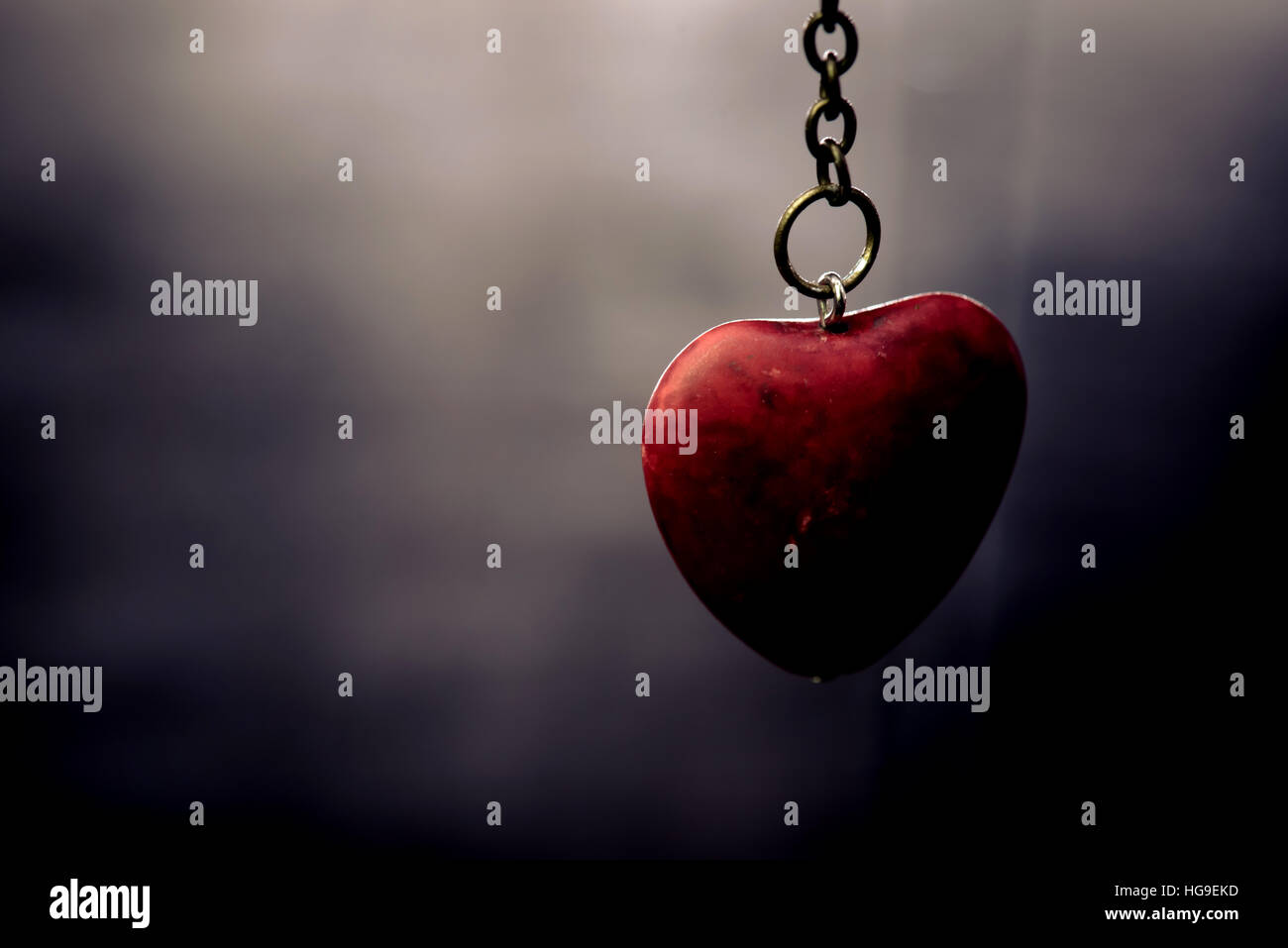 Valentines Day jour et le plus doux, l'amour, concept Low-Key Banque D'Images