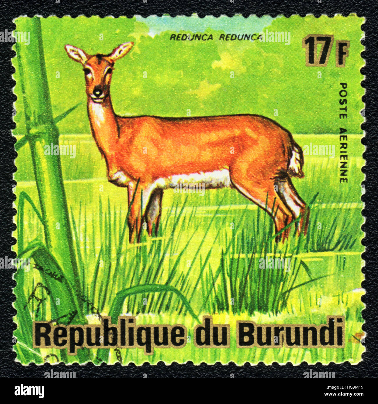 Un timbre-poste imprimé en République Burundi montre deer Reedbuck Redunca redunca Bohor (1980), Banque D'Images