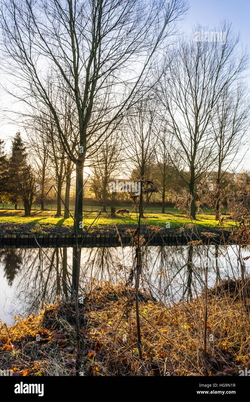 L'oeil de la rivière en hiver près du village de Cotswold de Lower Slaughter, Gloucestershire UK Banque D'Images