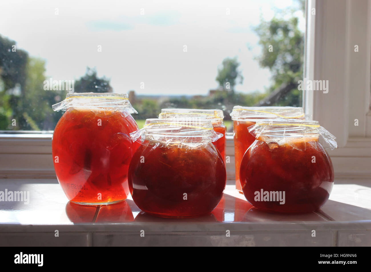 Pots d'accueil développé et confiture de prune faite maison Banque D'Images