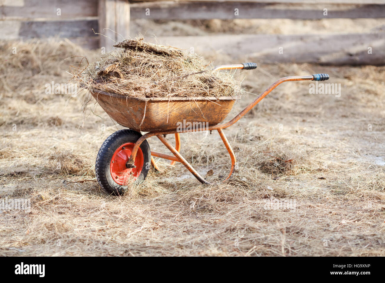 Brouette De Fumier Et De Foin Dans Le Milieu De L Enclos Photo Stock Alamy