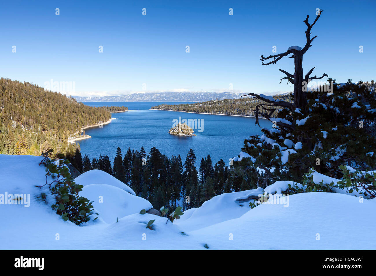 Emerald Bay, Lake Tahoe en hiver avec l'arbre mort et vue sur l'ile. La neige dans l'avant-plan complète la sensation de froid. Banque D'Images