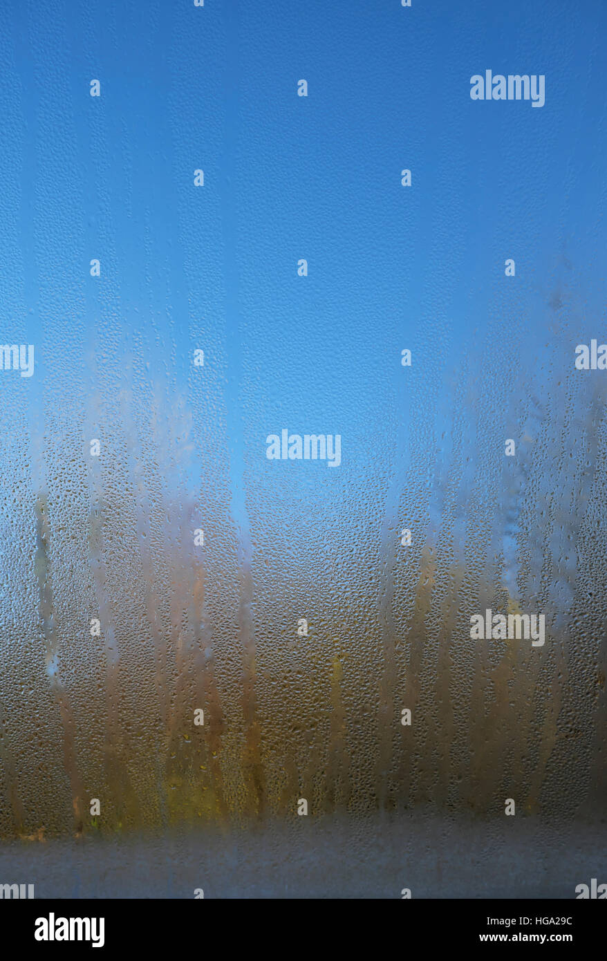 La condensation sur une fenêtre velux sur l'intérieur d'un froid matin  d'hiver dans les régions rurales du pays de Galles UK KATHY DEWITT Photo  Stock - Alamy