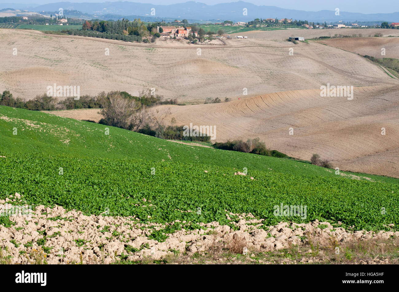 Vue sur les champs cultivés dans la région des Crete Senesi en Toscane de l'Italie centrale Banque D'Images