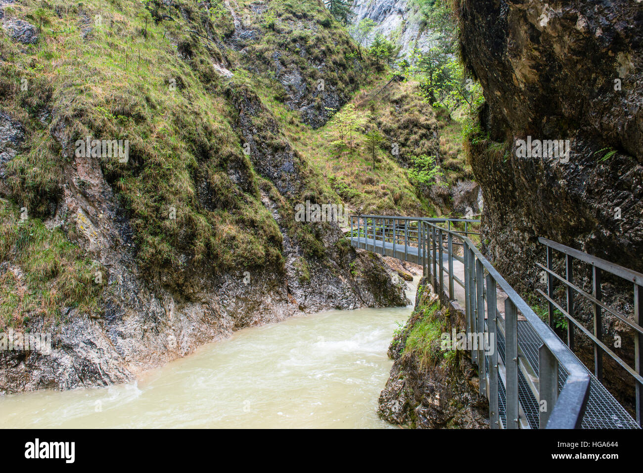 Gorge avec ruisseau, Almbachklamm avec Almbach, Alpes de Berchtesgaden, Berchtesgaden, Haute-Bavière, Bavière, Allemagne Banque D'Images