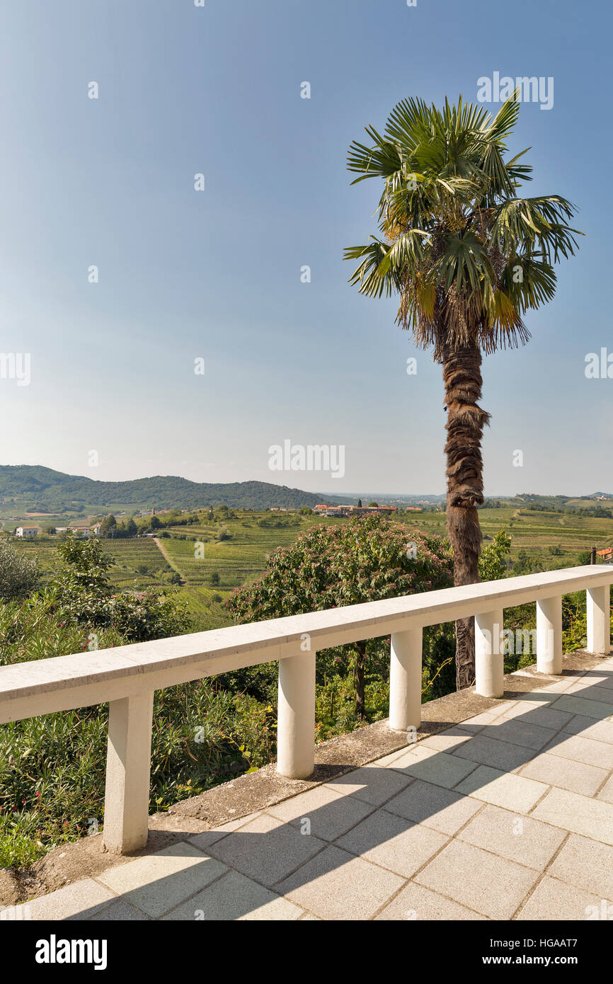 Village rural paysage méditerranéen avec, collines, vignoble, street et palm Banque D'Images