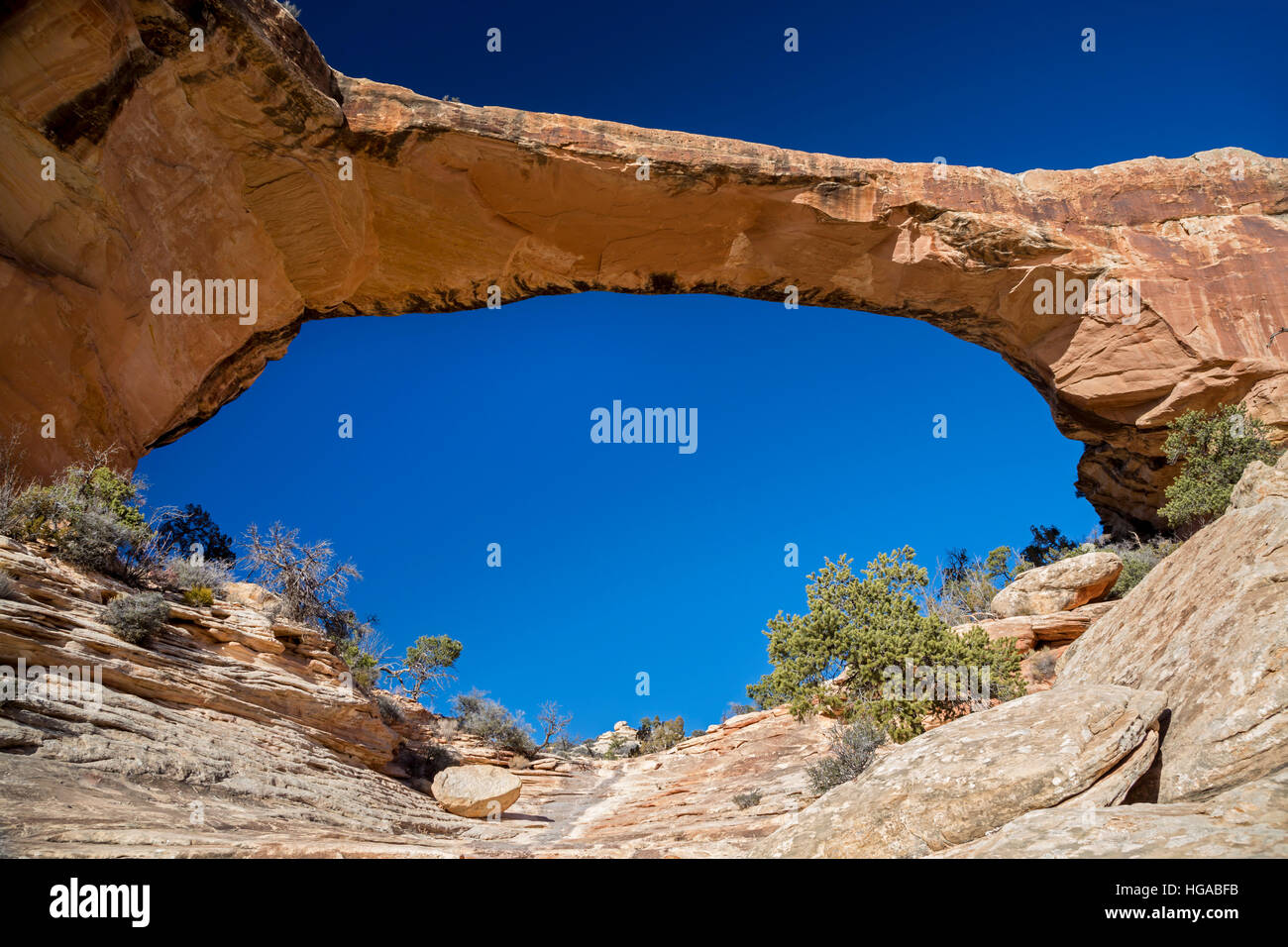 Natural Bridges National Monument (Utah) - L'Owachomo Bridge, l'un des trois ponts naturels dans le monument. Banque D'Images