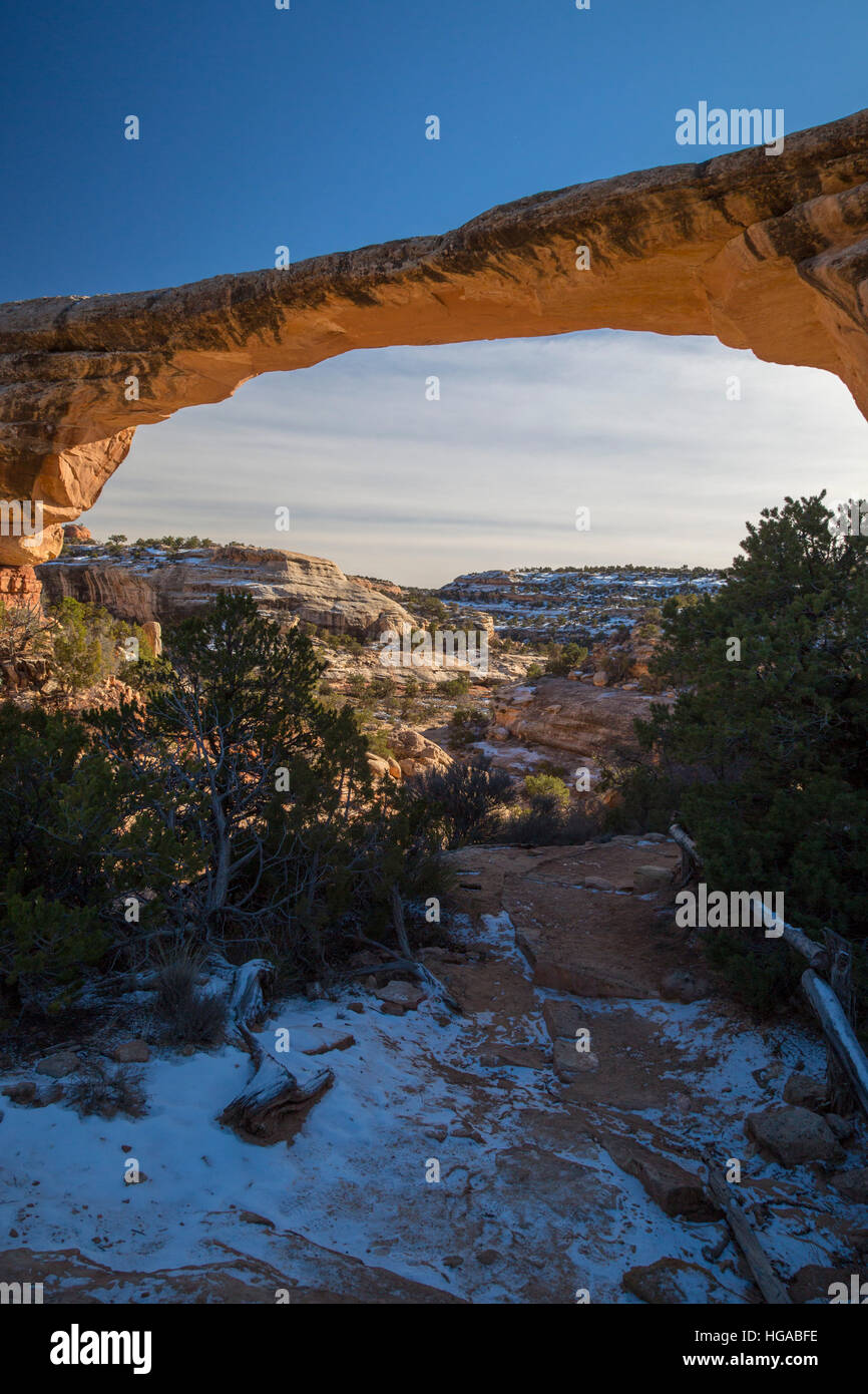 Natural Bridges National Monument (Utah) - L'Owachomo Bridge, l'un des trois ponts naturels dans le monument. Banque D'Images