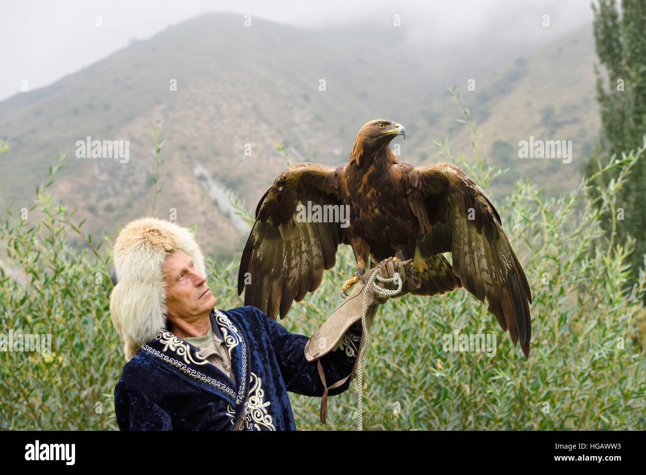 Formateur professionnel à Golden Eagle holding Sunkar Raptor Center dans les montagnes du Kazakhstan Almaty Gorge Arasan Alma Banque D'Images