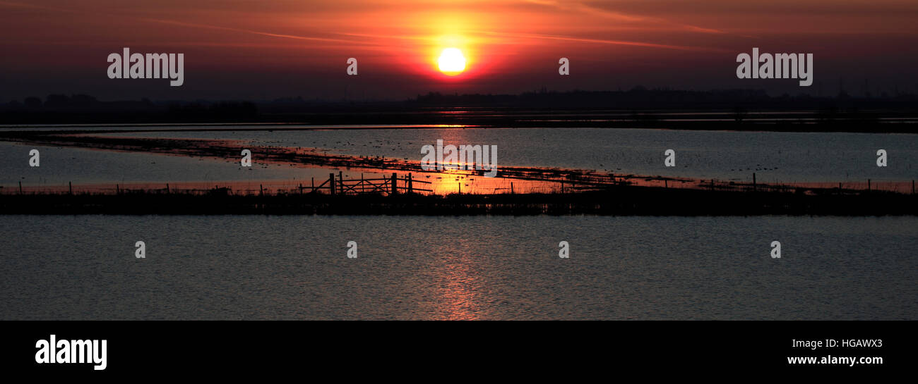 Coucher du soleil d'hiver sur une vidange Fenland, Cambridgeshire, Angleterre, Grande-Bretagne, Royaume-Uni Banque D'Images