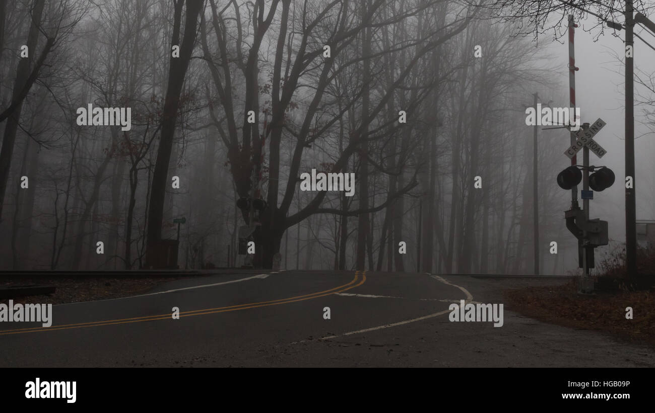 Railroad Crossing dans la brume, de Sapin baumier, de montagnes Great Smoky Mountains, North Carolina Banque D'Images