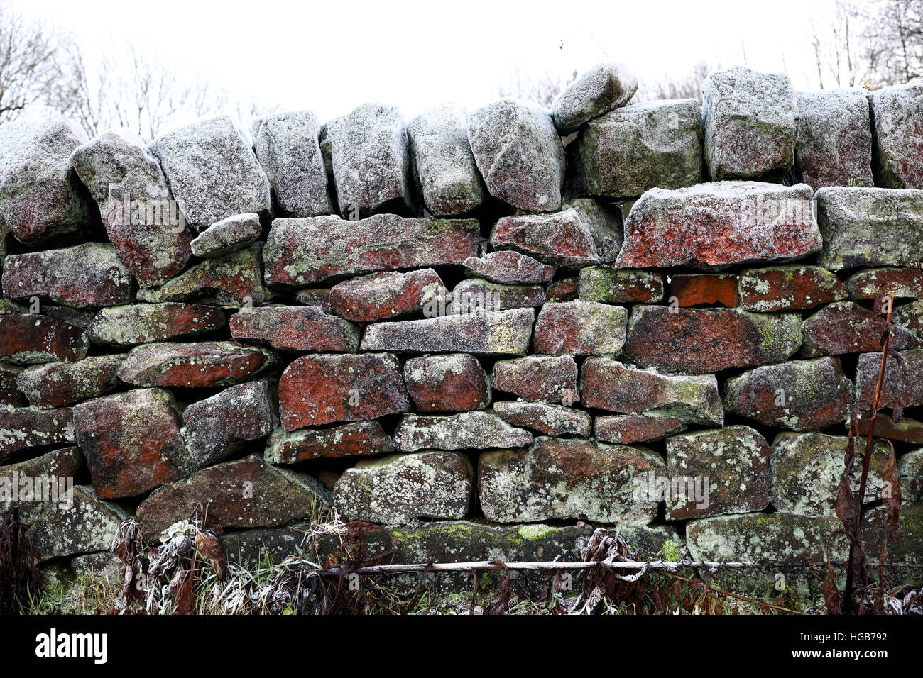 Mur de pierre rouge vert givré gel froid glace sèche Banque D'Images
