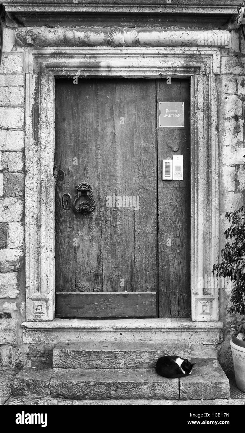 Porte et Cat, Dubrovnik, Croatie, Europe Banque D'Images