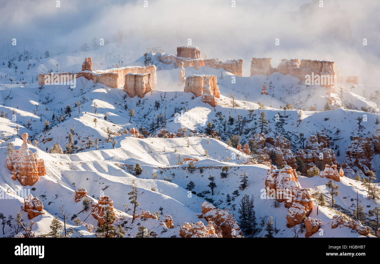 Une crête de cheminées couvertes de neige sur le point d'être avalé par le brouillard dans le Parc National de Bryce Canyon, Utah Banque D'Images