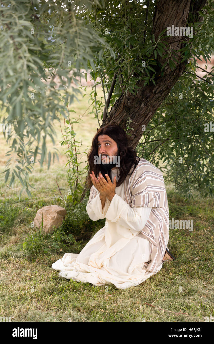 Dans l'agonie de Jésus priant au jardin des oliviers avant sa crucifixion Banque D'Images