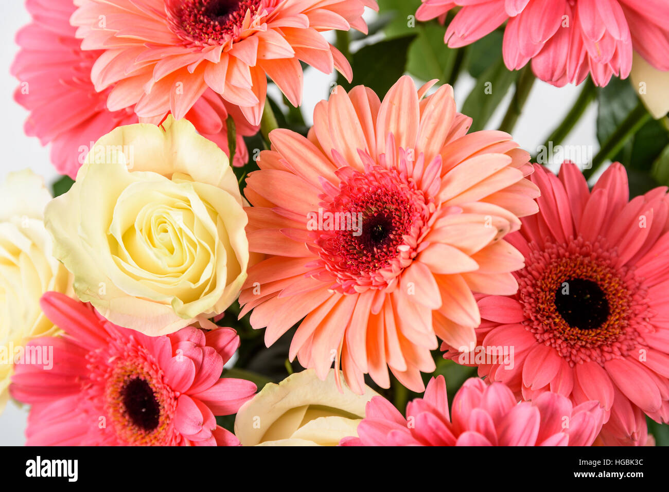 Gerbera rose Fleurs Marguerite Bouquet roses et blanches Banque D'Images