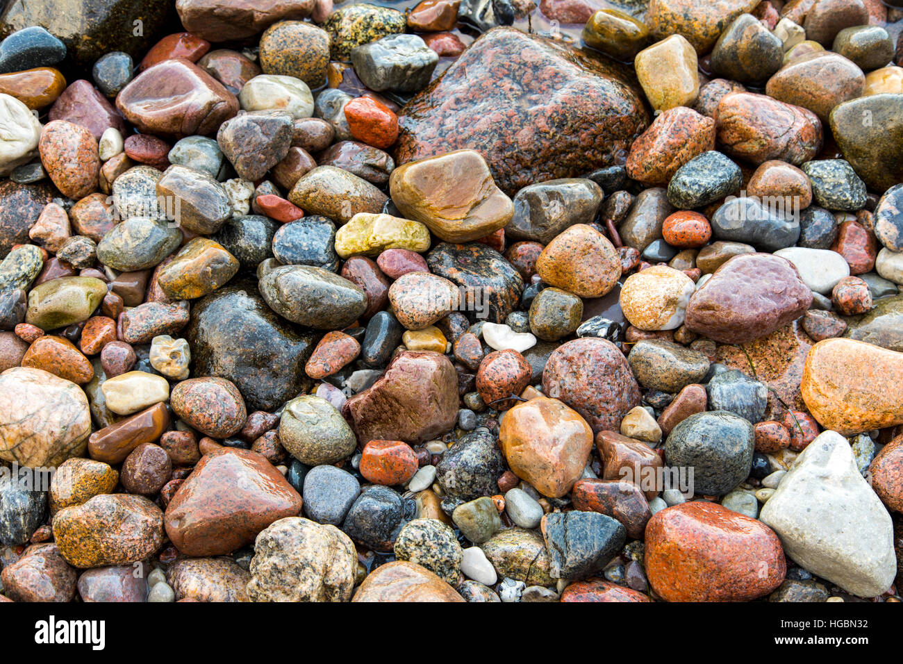 Beaucoup de grandes et petites pierres, cailloux sur une plage, côte de la mer Baltique, l'île de Rügen, Allemagne Banque D'Images