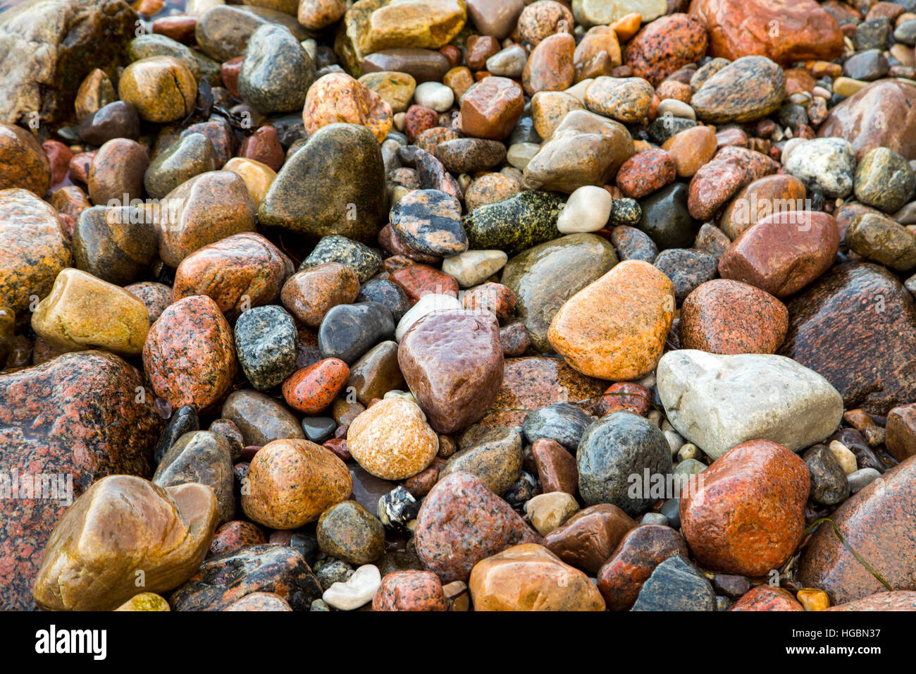 Beaucoup de grandes et petites pierres, cailloux sur une plage, côte de la mer Baltique, l'île de Rügen, Allemagne Banque D'Images
