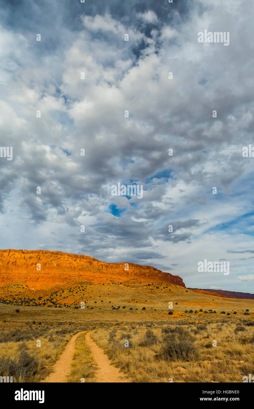 La route à deux voies de quitter la maison Rock Road, à Vermilion Cliffs National Monument, Arizona, USA Banque D'Images