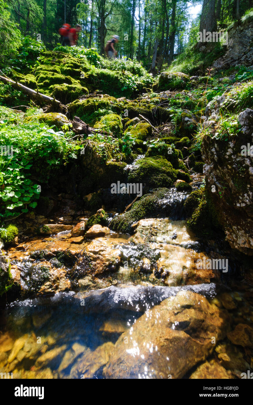 Gesäuse Parc national : Ruisseau de montagne, randonneur, Gesäuse, Steiermark, Styrie, Autriche Banque D'Images