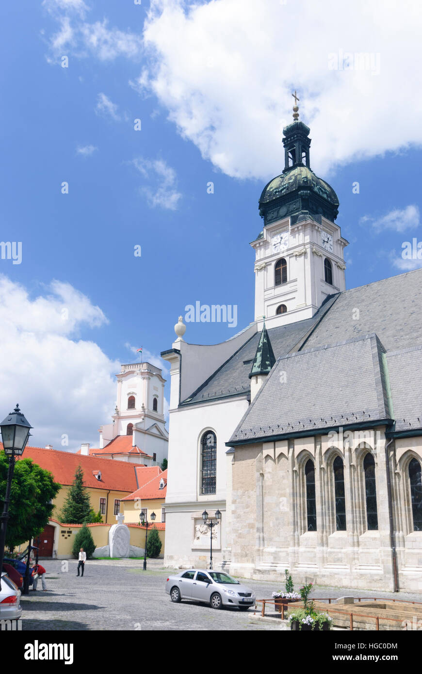 Györ (Raab) : Bishop's Castle, chère femme, la cathédrale , Györ-Moson-Sopron, Hongrie Banque D'Images