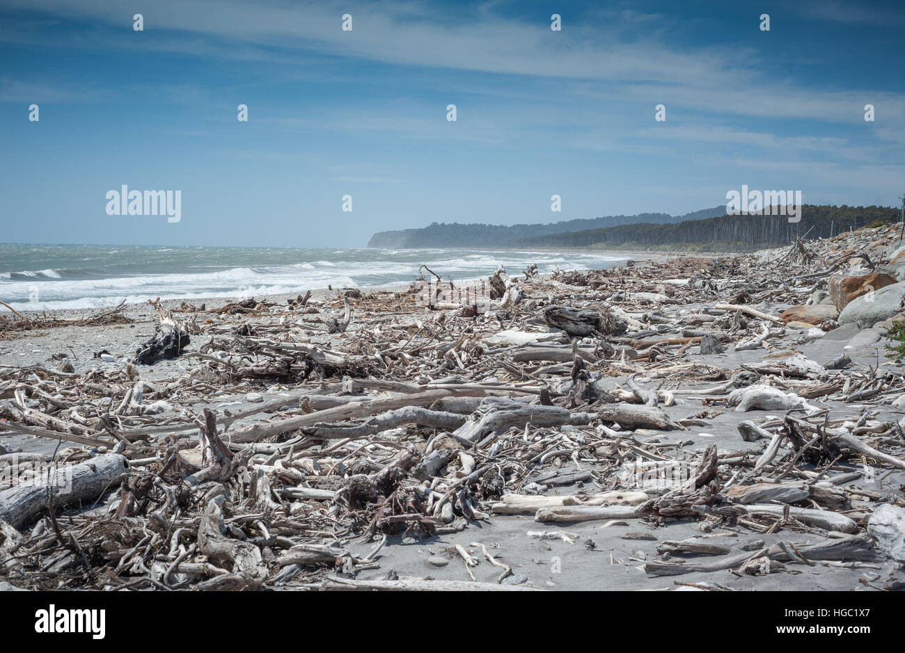 Driftwood beach, West Coast, South Island, New Zealand Banque D'Images