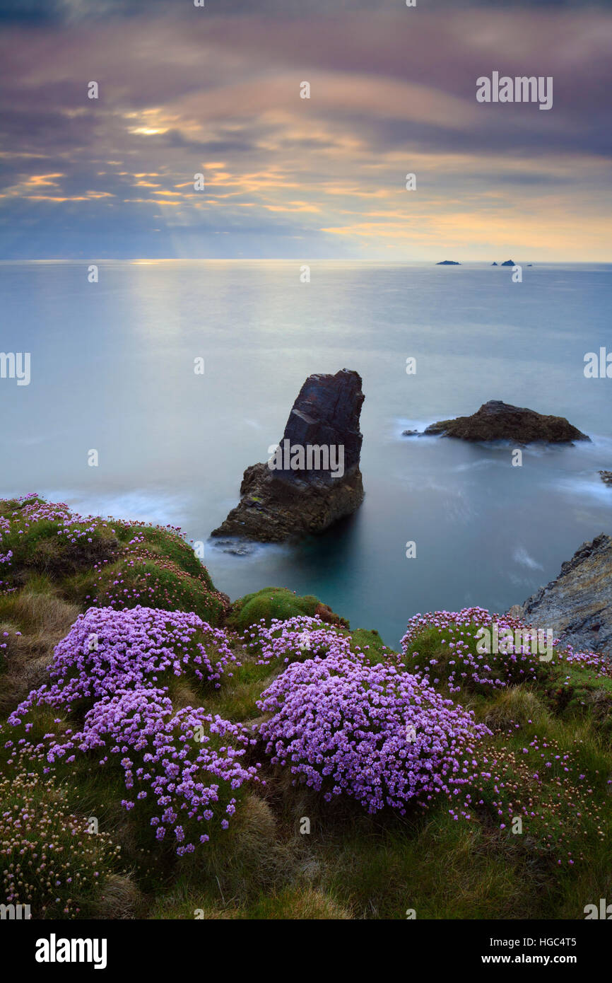 Une pile de la mer près de Treyarnon Bay sur la côte nord des Cornouailles ,capturé peu avant le coucher du soleil au printemps. Banque D'Images