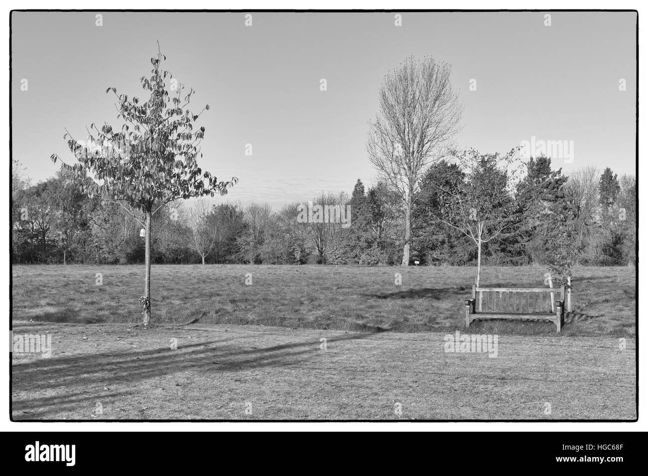 Photo en noir et blanc d'un banc de jardin en automne paysage des parcs. Vintage filtre appliqué Banque D'Images