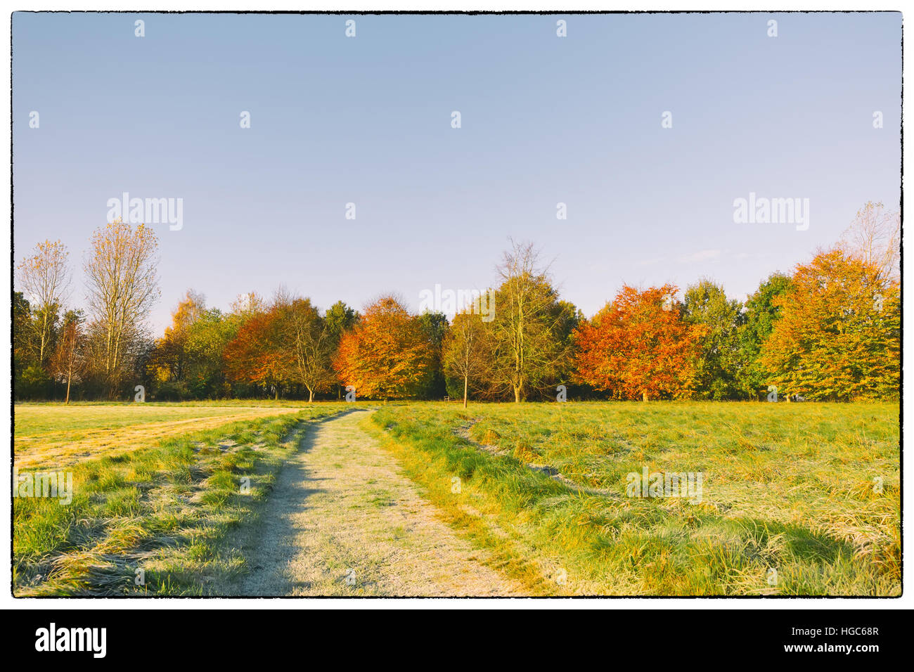 Paysage d'automne avec des feuilles rouge et orange avec un ciel bleu clair. Vintage filtre appliqué Banque D'Images