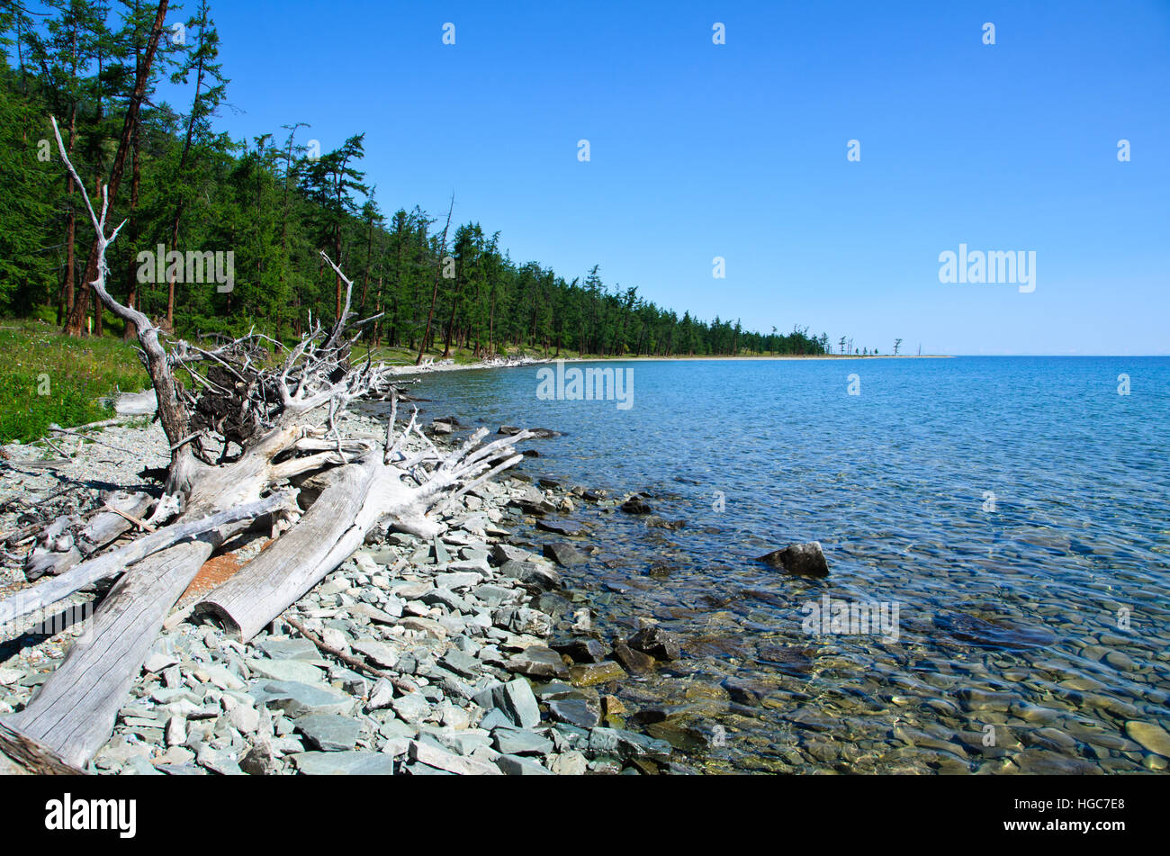 Lac khövsgöl la taïga sibérienne et forêt en été. Banque D'Images