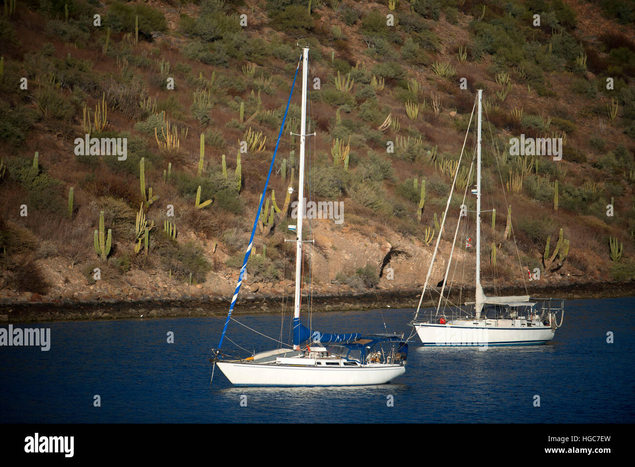 Bateaux à voile à anchoreds dans Puerto Escondido dans la mer de Cortes, Baja California Sur, au Mexique. Banque D'Images