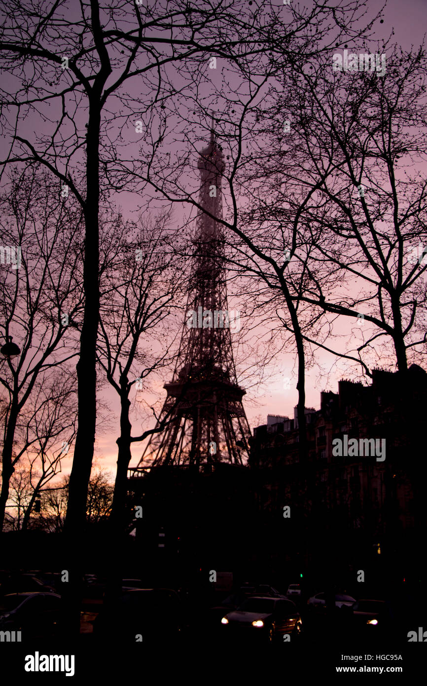 La Tour Eiffel à travers les arbres Banque D'Images