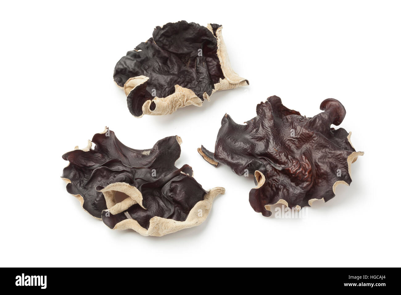 Gelée de champignons séchés oreille sur fond blanc Banque D'Images