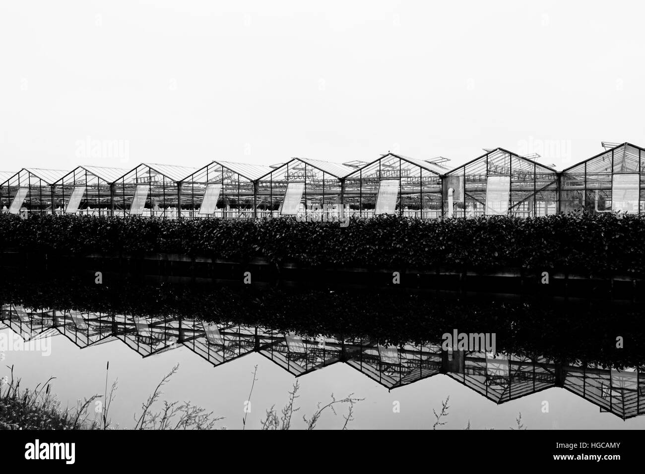 Verre à effet de serre et de couverture reflète dans l'eau Banque D'Images