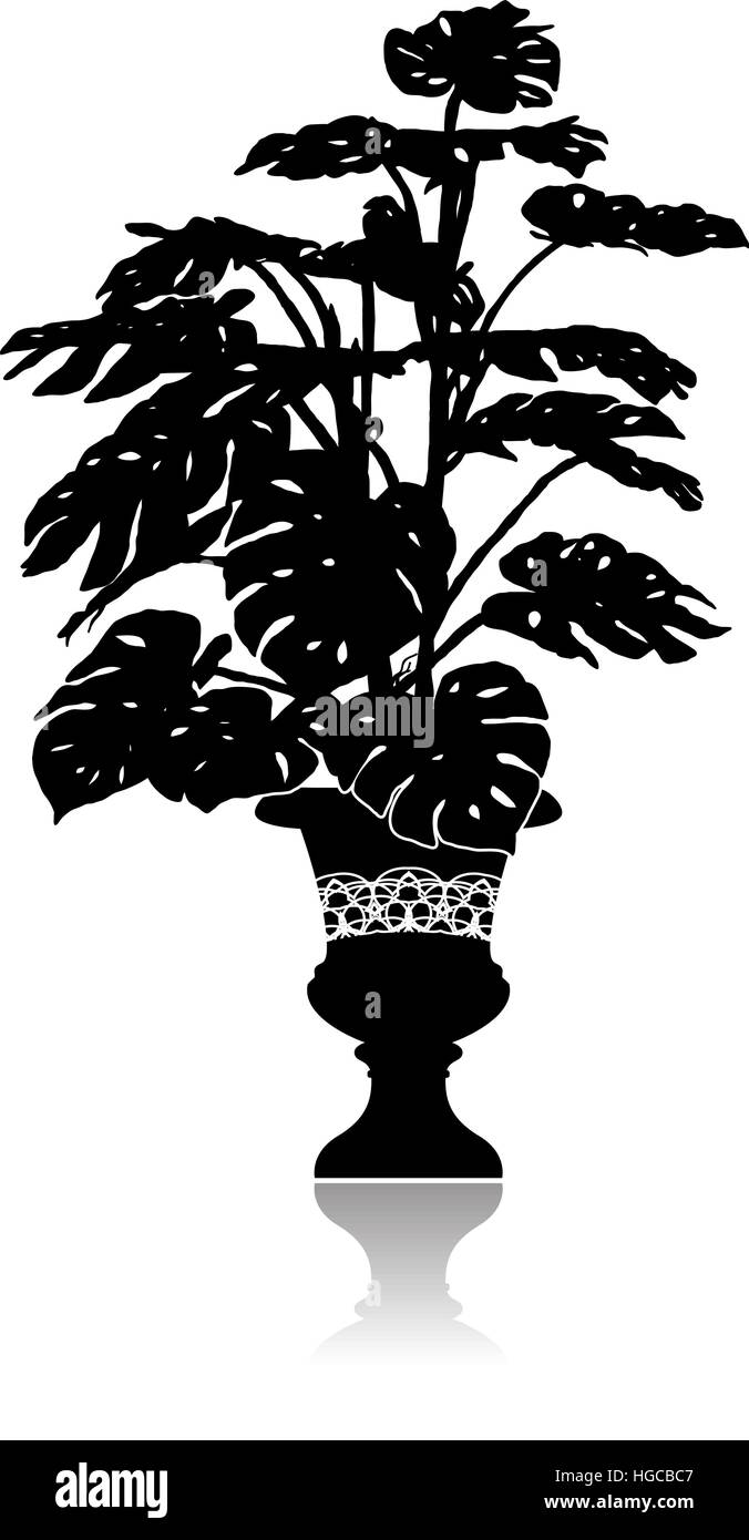 Monstera dans un pot de fleurs Illustration de Vecteur