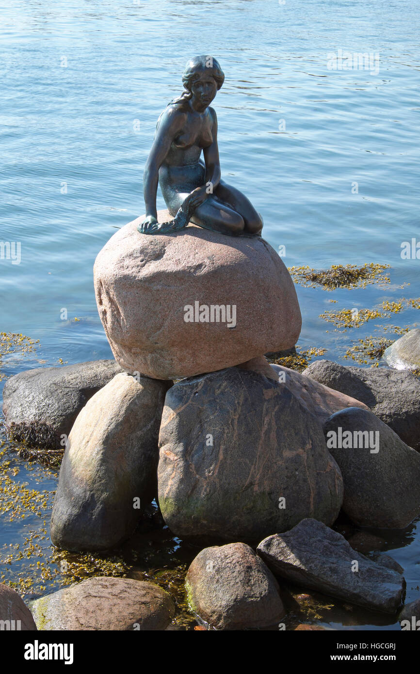Statue de la Petite Sirène à Copenhague Banque D'Images Statue de la Petite Sirène à Copenhague Banque D'Images