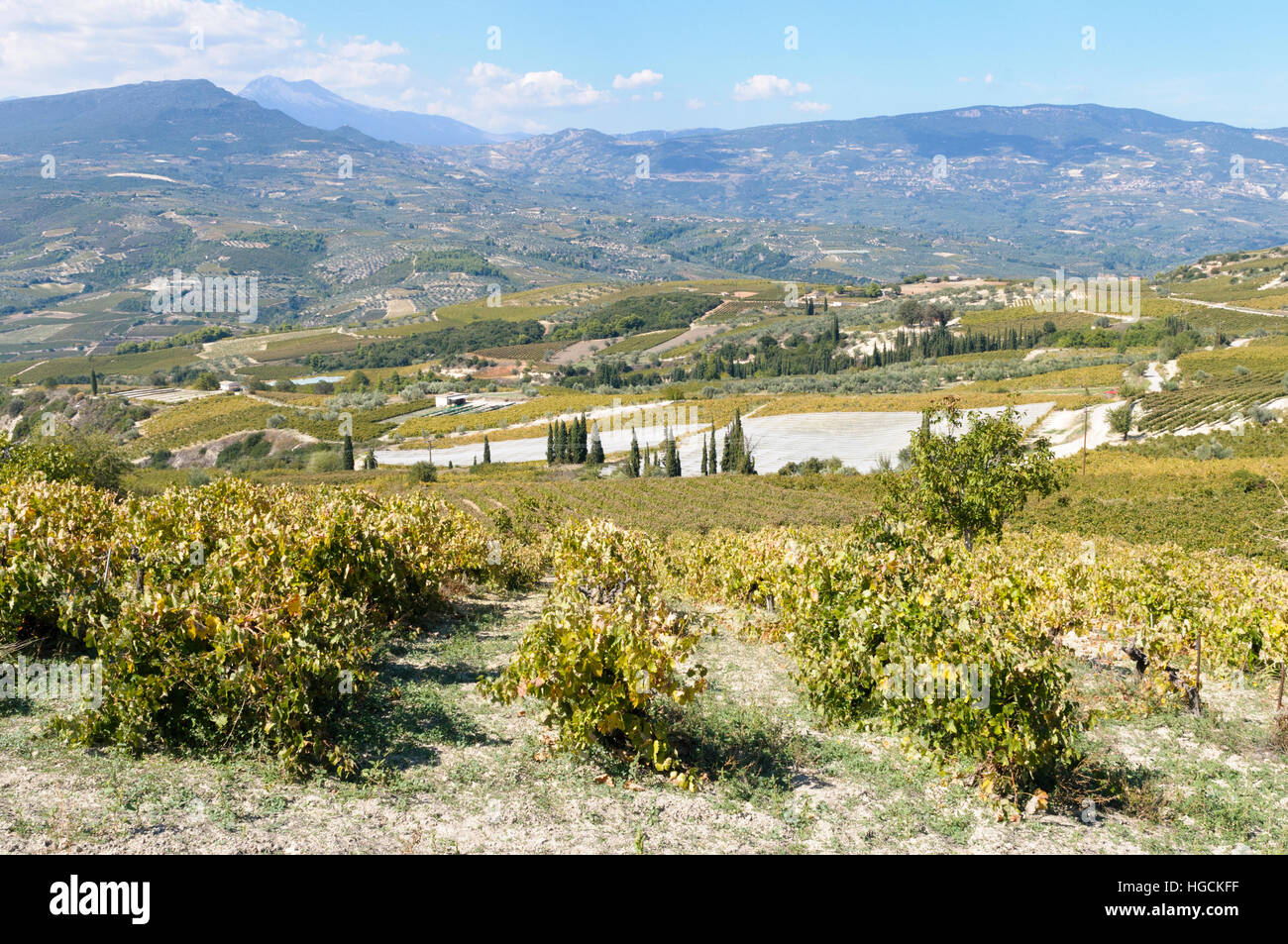 Domaine Helios Winery, Nemea, péninsule du Péloponnèse, Grèce Banque D'Images