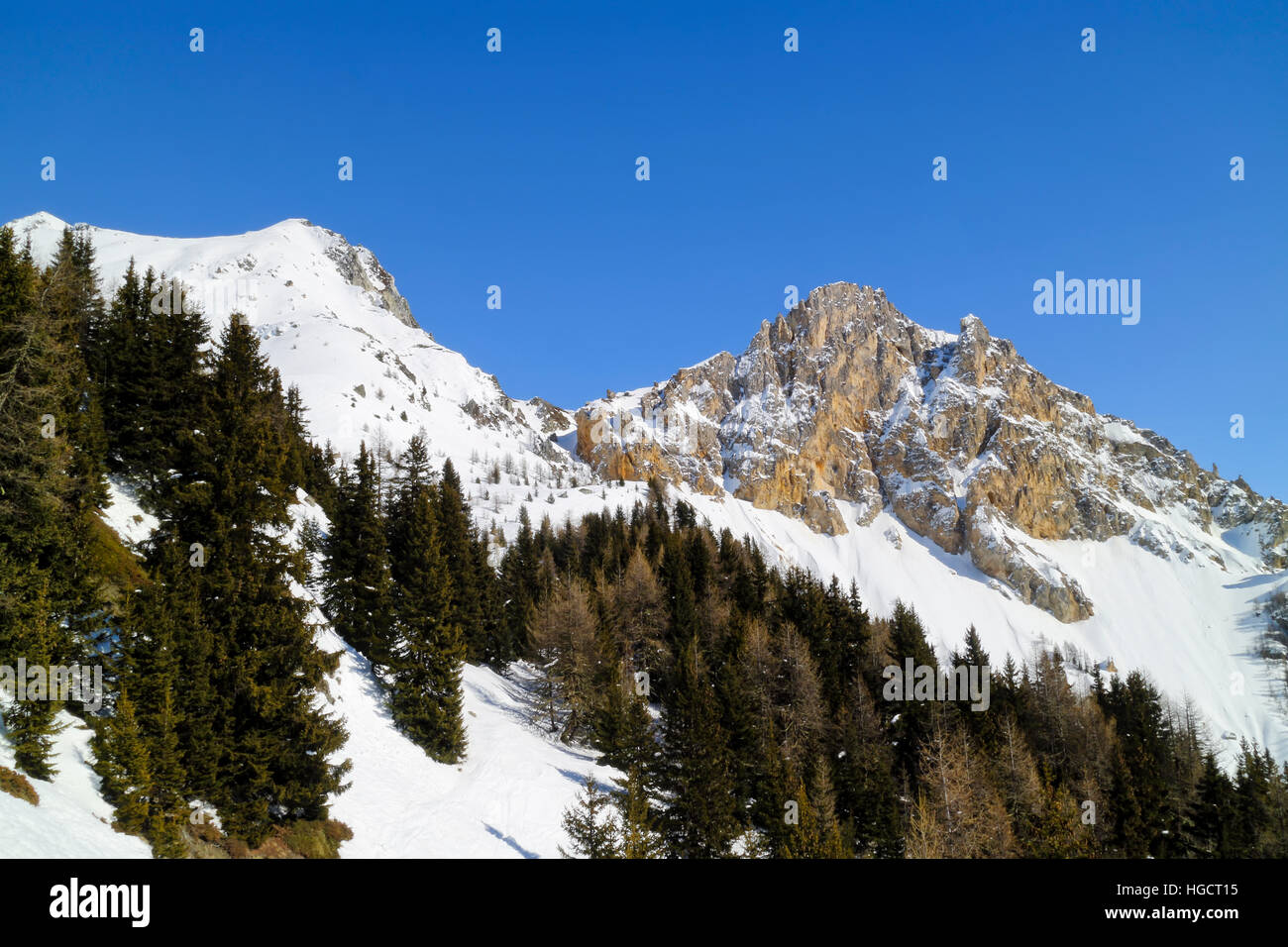 Des pins sur les pentes enneigées en haute montagne sur ciel bleu journée d'hiver, Les Arcs, Alpes, France Banque D'Images