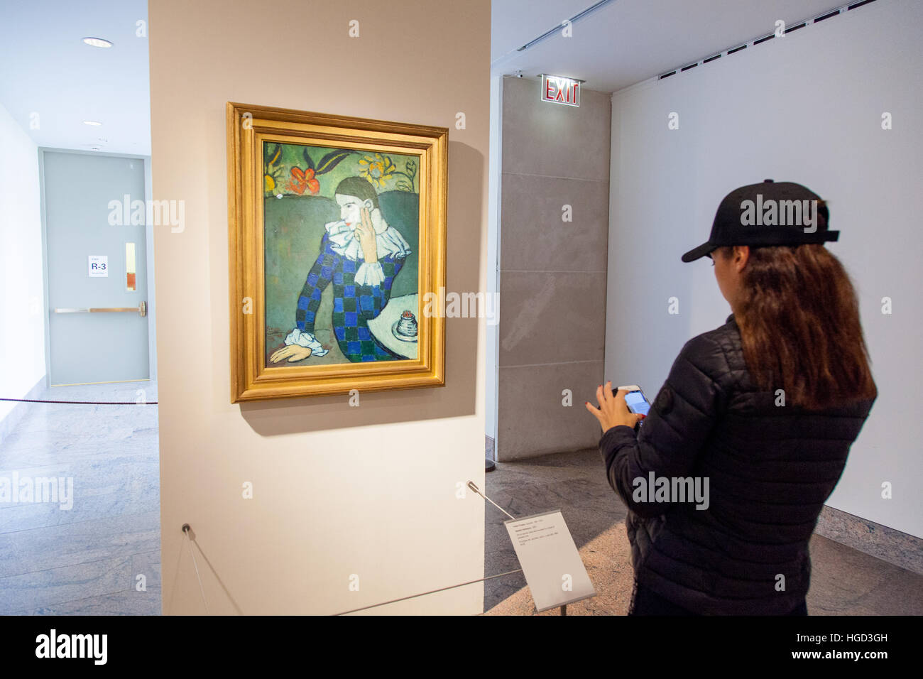 Pablo Picasso, 1901 Arlequin assis sur l'affichage au Metropolitan Museum, New York City, États-Unis d'Amérique. Banque D'Images