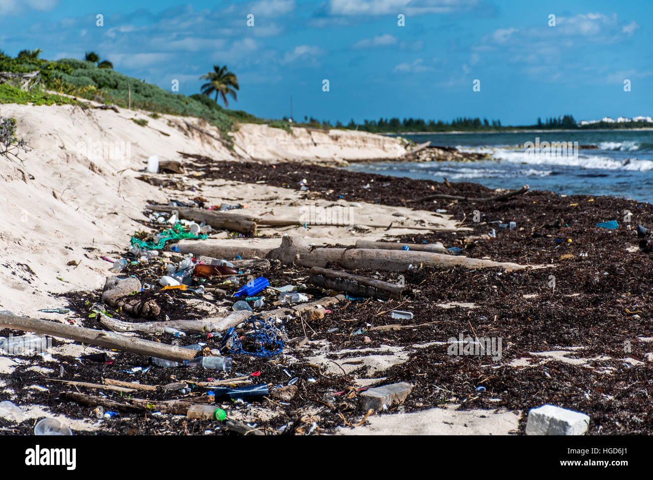 Le problème de la pollution de l'océan de la côte du Mexique avec la litière en plastique Banque D'Images