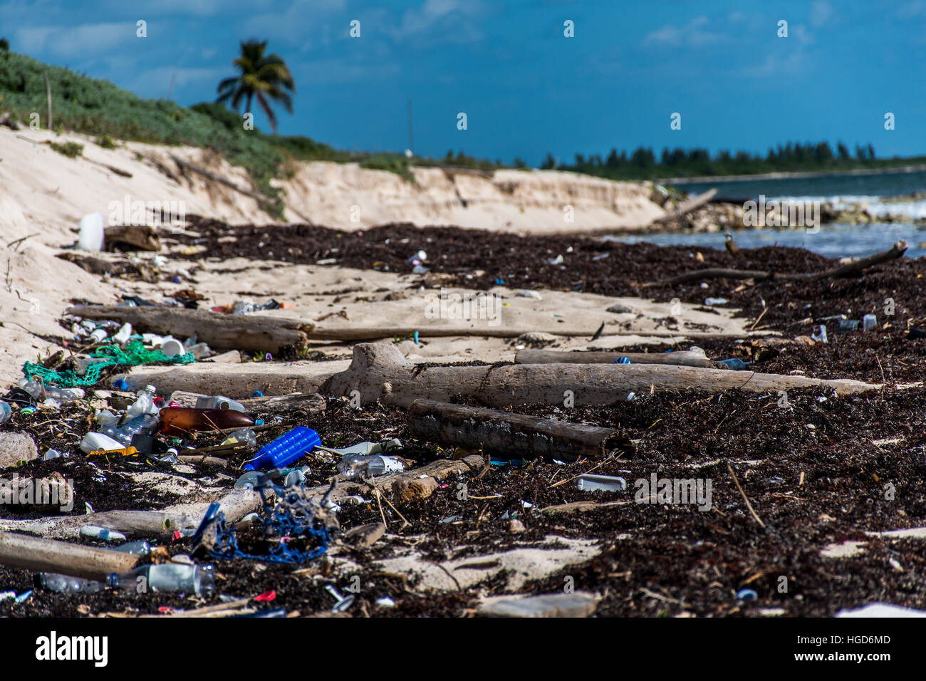 Le problème de la pollution de l'océan de la côte du Mexique avec la litière en plastique 2 Banque D'Images