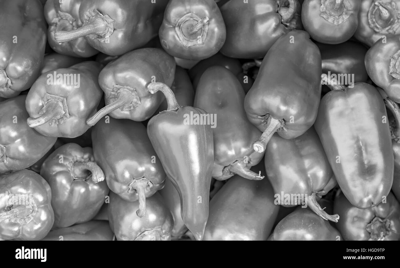 Photographie noir et blanc groupe de poivre frais récoltés, Close up Banque D'Images