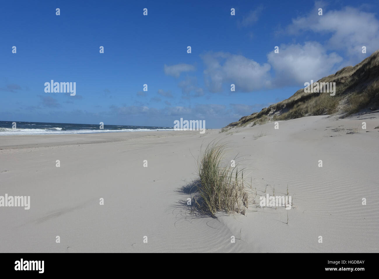 Allemagne, Europe, Sylt, Kampen, Red Cliff, dunes, paysage de dunes, mer, sable, plage, mer, Banque D'Images