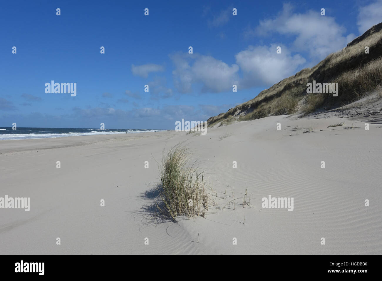 Allemagne, Europe, Sylt, Kampen, Red Cliff, dunes, paysage de dunes, mer, sable, plage, mer, Banque D'Images